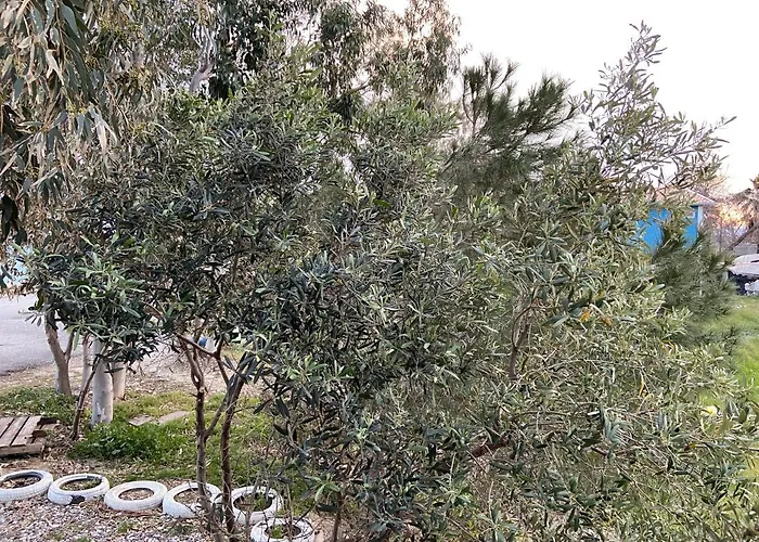 дом на берегу моря Adelina *