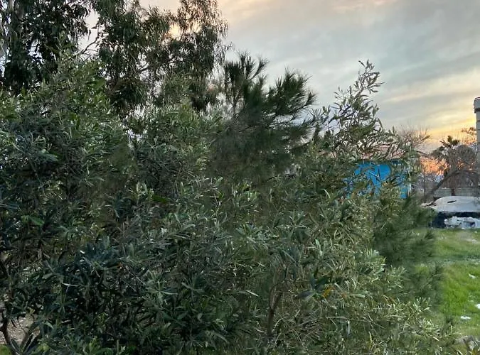 дом на берегу моря Adelina *