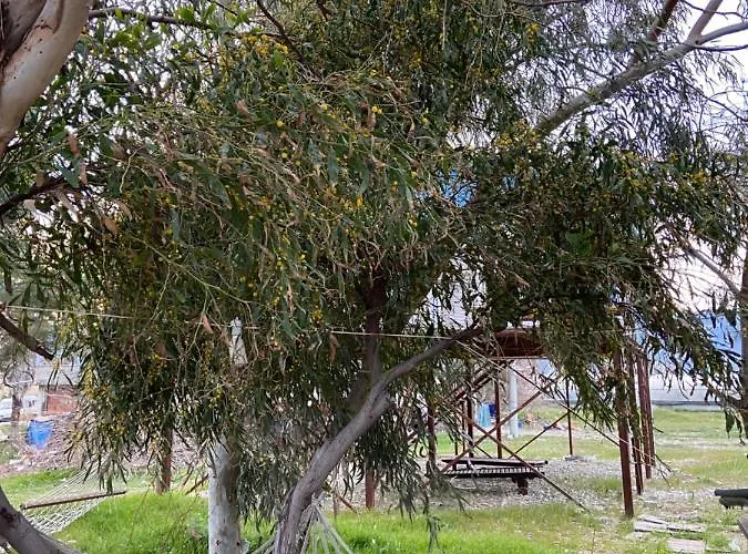 дом на берегу моря Adelina Semesterbostad Demre