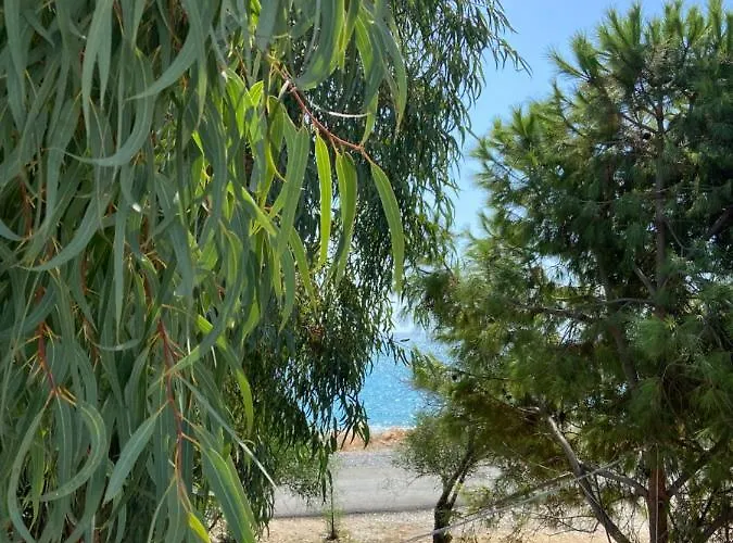 дом на берегу моря Adelina Semesterbostad Demre