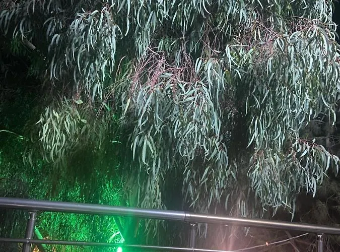 дом на берегу моря Adelina Demre