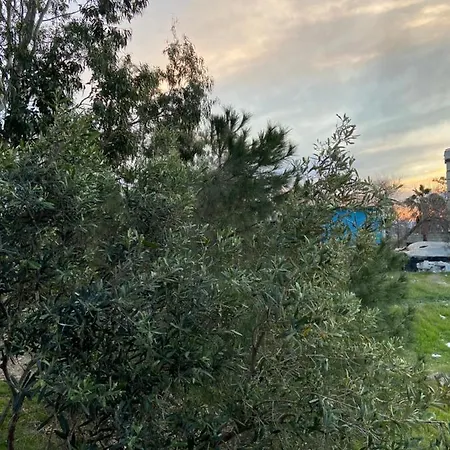 дом на берегу моря Adelina *