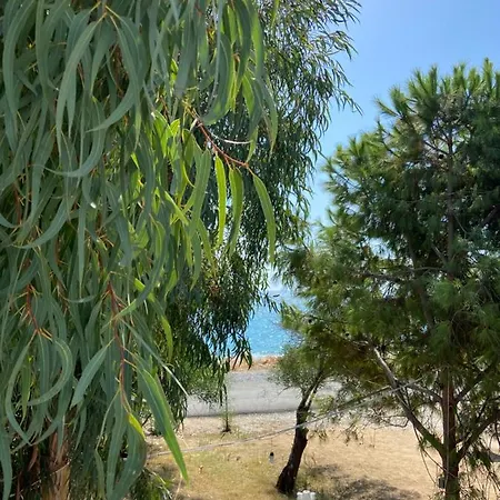 дом на берегу моря Adelina Дом отдыха Демре