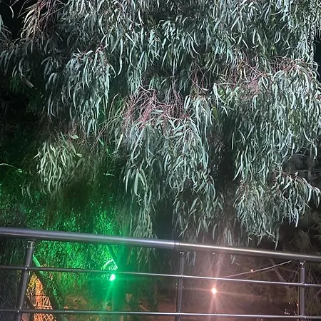 дом на берегу моря Adelina Демре