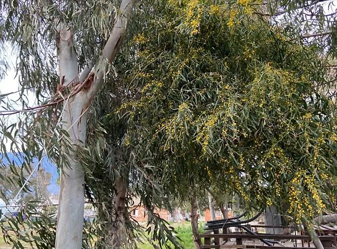 Semesterbostad дом на берегу моря Adelina *