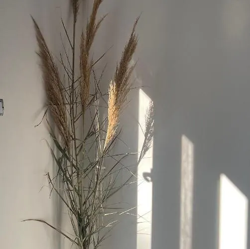 Semesterbostad дом на берегу моря Adelina