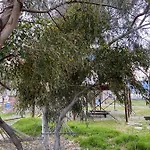 дом на берегу моря Adelina Holiday home Demre